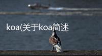 koa(關(guān)于koa簡(jiǎn)述)