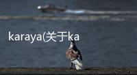 karaya(關于karaya簡述)