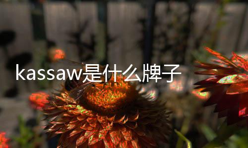 kassaw是什么牌子手表價(jià)格（kassaw）