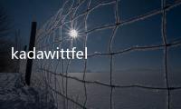 kadawittfeld：德國Adidas“鞋帶”辦公樓