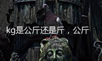 kg是公斤還是斤，公斤（1kg等于1公斤或2斤）