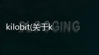kilobit(關于kilobit簡述)