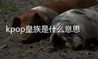 kpop皇族是什么意思（皇族是什么意思）