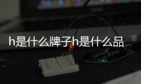 h是什么牌子h是什么品牌