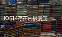 iOS14存在內(nèi)核漏洞