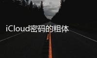 iCloud密碼的粗體iPhone小偷消息所有者
