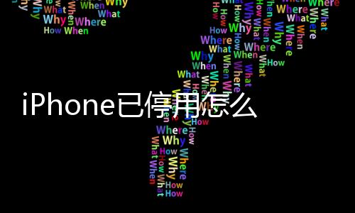 iPhone已停用怎么辦？蘋果 iPhone 12 Pro Max已停用修復教程
