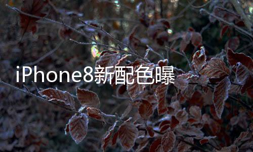 iPhone8新配色曝光玫瑰金與白色的結合