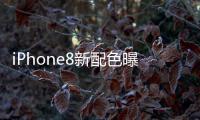 iPhone8新配色曝光玫瑰金與白色的結(jié)合