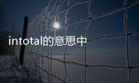 intotal的意思中文翻譯（in total）