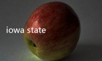 iowa state university排名,iowa state university
