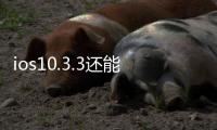 ios10.3.3還能升級(jí)嗎（iOS 17.3 系統(tǒng)驗(yàn)證已關(guān)閉但還能升級(jí)）
