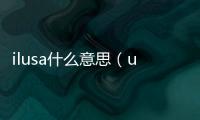 ilusa什么意思（usa什么意思）