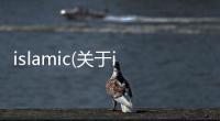 islamic(關(guān)于islamic簡述)