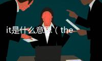 it是什么意思（they是什么意思）