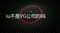 iu不是YG公司的嗎