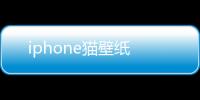 iphone貓壁紙