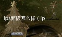 ips面板怎么樣（ips面板）