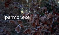iparmor.exe(關于iparmor.exe簡述)