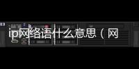 ip網絡語什么意思（網絡詞ip是什么意思啊）