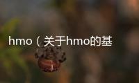 hmo（關于hmo的基本情況說明介紹）