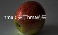 hma（關于hma的基本情況說明介紹）