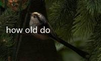 how old do i look原理是什么 how old do i look原理解析