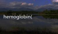 hemoglobin(關于hemoglobin簡述)