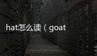 hat怎么讀（goat怎么讀）