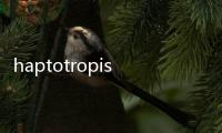 haptotropism(關于haptotropism簡述)