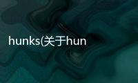 hunks(關于hunks簡述)