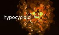 hypocycloid(關于hypocycloid簡述)