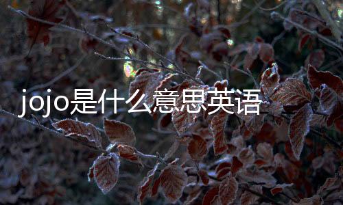 jojo是什么意思英語（jojo是什么意思）