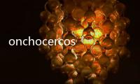 onchocercosis(關于onchocercosis簡述)