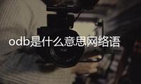 odb是什么意思網絡語（odb是什么意思）