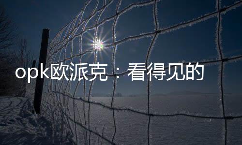 opk歐派克：看得見(jiàn)的滑動(dòng)系統(tǒng)，看不見(jiàn)的品牌力