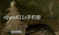 oppoA11x手機密碼忘了怎么刷機？一鍵解鎖法 極速開機