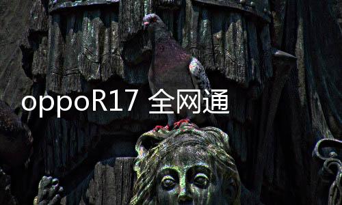oppoR17 全網(wǎng)通手機密碼忘了怎么刷機？一鍵解鎖法 極速開機