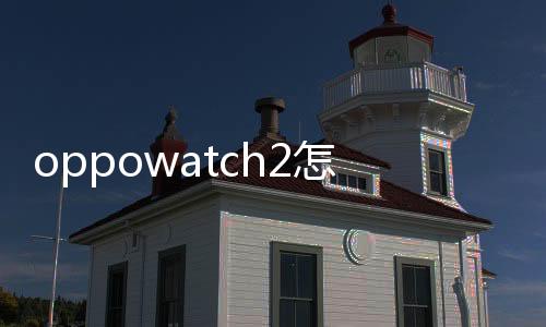 oppowatch2怎么樣（OPPOWatch2ECG版適合年輕人嗎？）