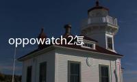 oppowatch2怎么樣（OPPOWatch2ECG版適合年輕人嗎？）