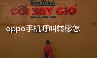 oppo手機呼叫轉移怎么取消（手機呼叫轉移怎么取消）
