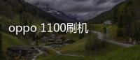 oppo 1100刷機軟件哪個好？選擇線刷寶怎么樣？線刷救磚工具