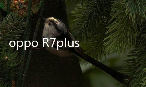 oppo R7plus手機(jī)密碼忘了怎么刷機(jī)？一鍵解鎖法 極速開(kāi)機(jī)