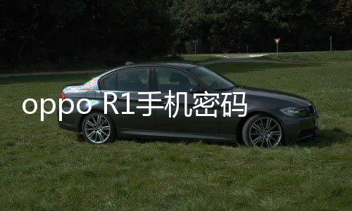 oppo R1手機密碼忘了怎么刷機？一鍵解鎖法 極速開機