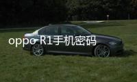 oppo R1手機密碼忘了怎么刷機？一鍵解鎖法 極速開機