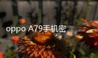 oppo A79手機密碼鎖打不開、不開機一鍵解鎖法 極速開機