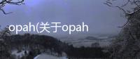 opah(關(guān)于opah簡(jiǎn)述)