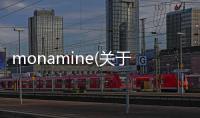 monamine(關(guān)于monamine簡述)