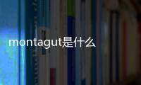 montagut是什么品牌什么檔次（montagut是什么品牌）