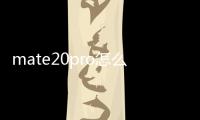 mate20pro怎么修理電源鍵（華為mate20pro怎么設置按電源鍵結束通話）